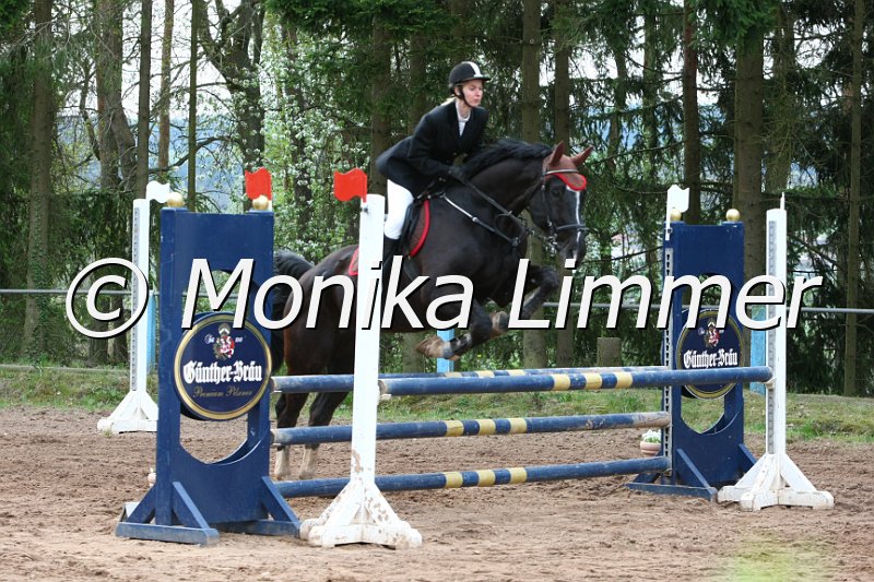 204M9113_Eldorado_Stil Ax.JPG